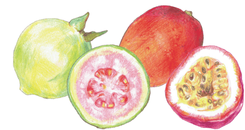 トロピカルジュース